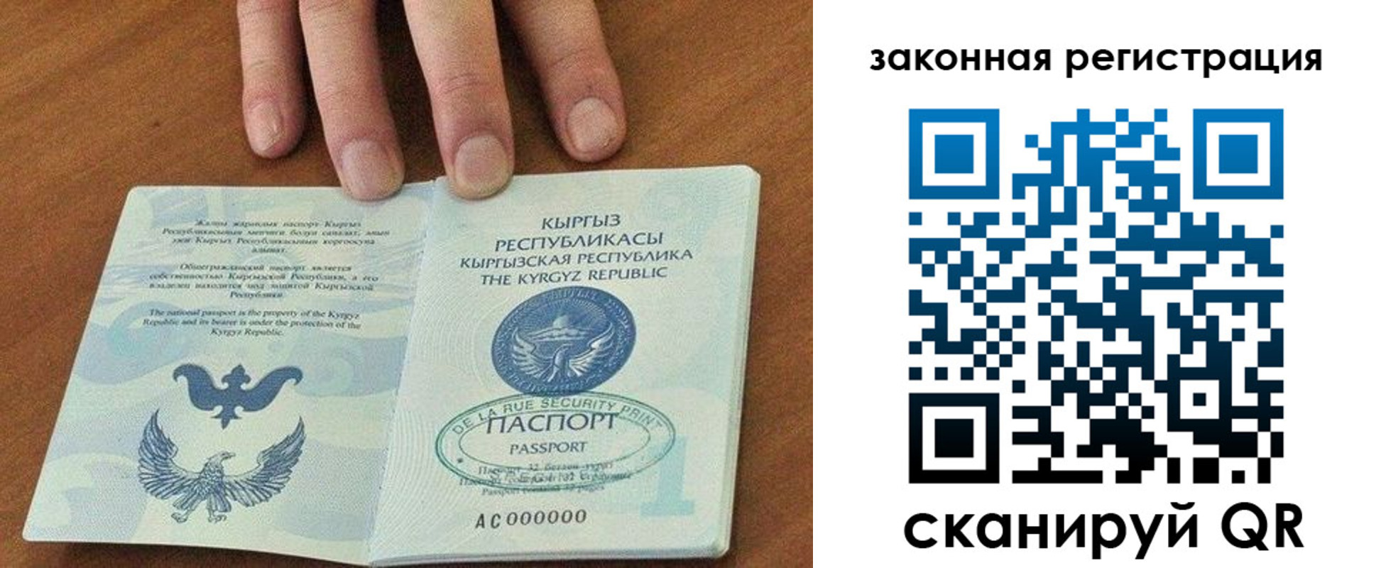 прописка гарантия в Елабуге